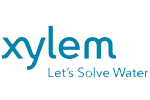 xylem
